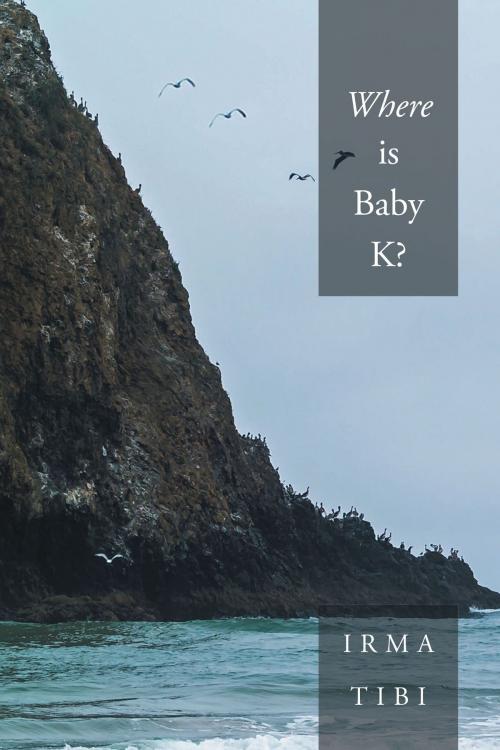 Cover of the book Where is Baby K? by Irma Tibi, Page Publishing, Inc.