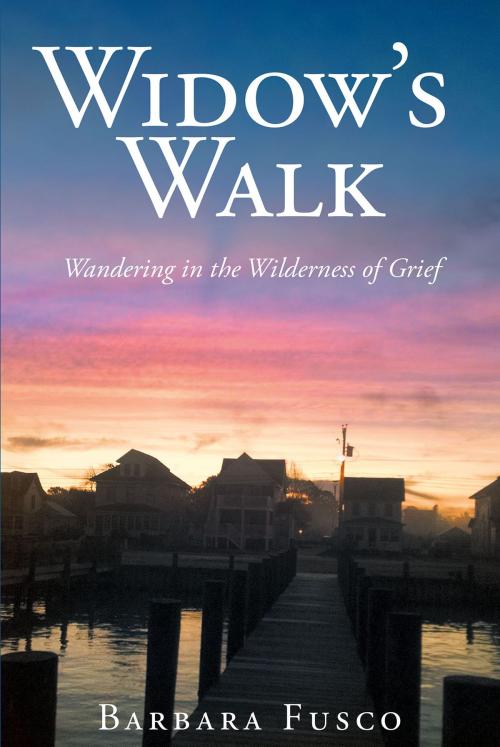 Cover of the book Widow's Walk by Barbara Fusco, Christian Faith Publishing