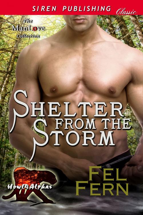 Cover of the book Shelter from the Storm by Fel Fern, Siren-BookStrand