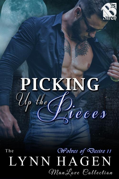 Cover of the book Picking Up the Pieces by Lynn Hagen, Siren-BookStrand