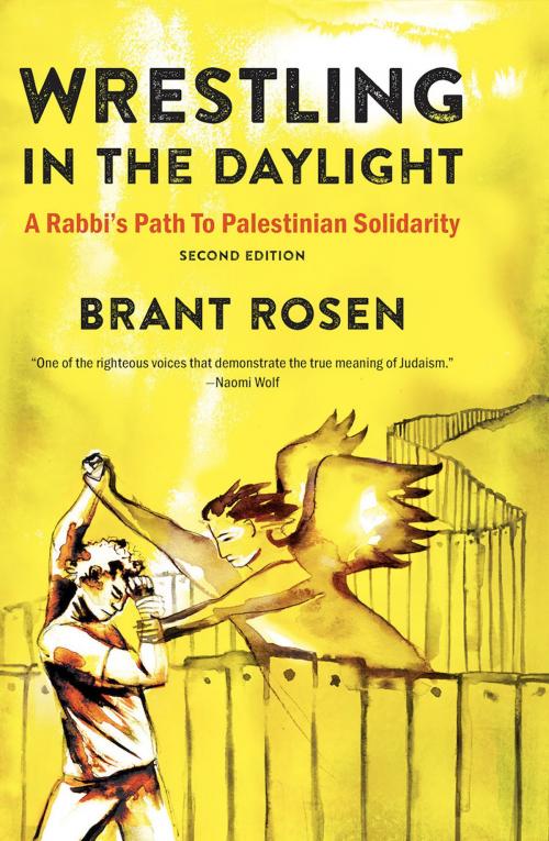 Cover of the book Wrestling in the Daylight by Brant Rosen, Just World Books