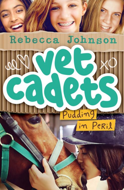 Cover of the book Vet Cadets: Pudding in Peril (BK2) by Rebecca Johnson, Penguin Random House Australia