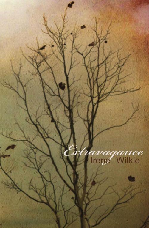Cover of the book Extravagance by Irene Wilkie, Ginninderra Press