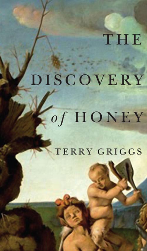 Cover of the book The Discovery of Honey by Terry Griggs, Biblioasis
