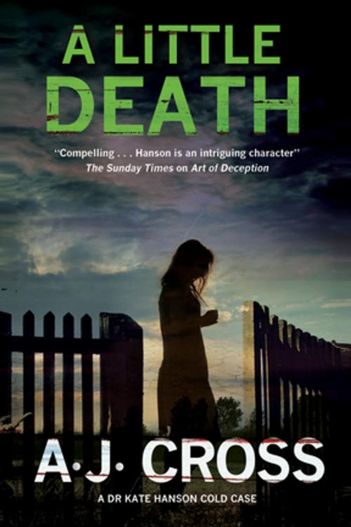 Cover of the book Little Death, A by A.J. Cross, Severn House Publishers