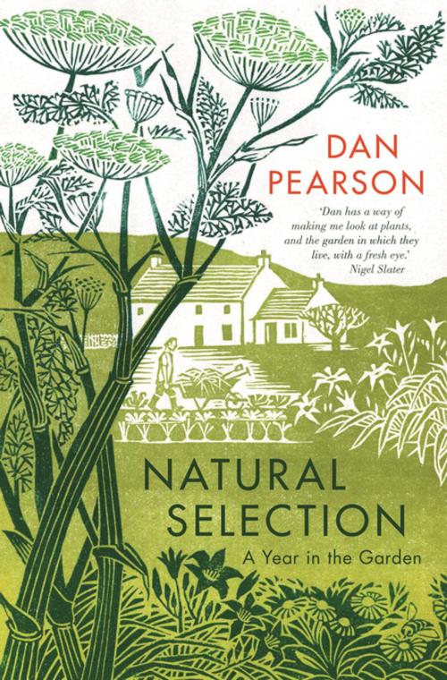 Cover of the book Natural Selection by Dan Pearson, Guardian Faber Publishing