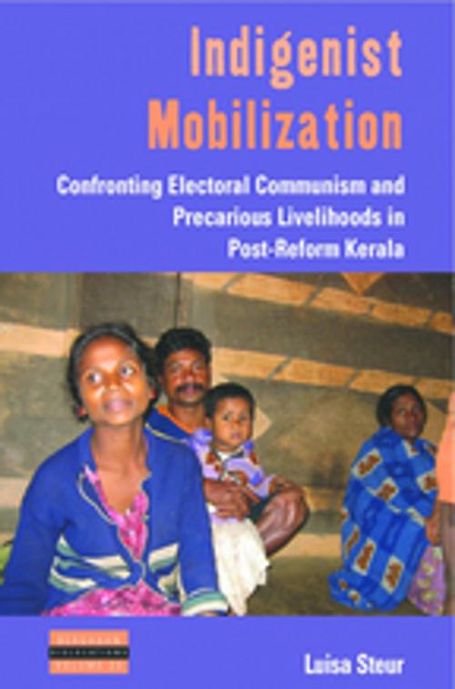 Cover of the book Indigenist Mobilization by Luisa Steur, Berghahn Books