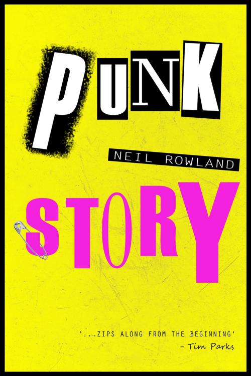 Cover of the book Punk Story by Neil Rowland, Andrews UK