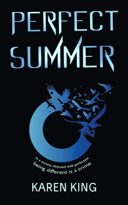 Cover of the book Perfect Summer by Karen King, Accent Press