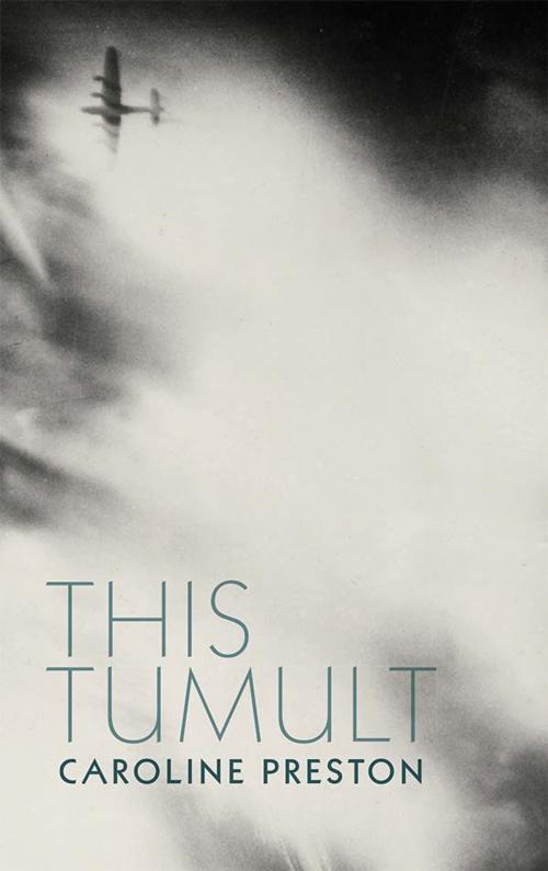 Cover of the book This Tumult by Caroline Preston, The Lilliput Press