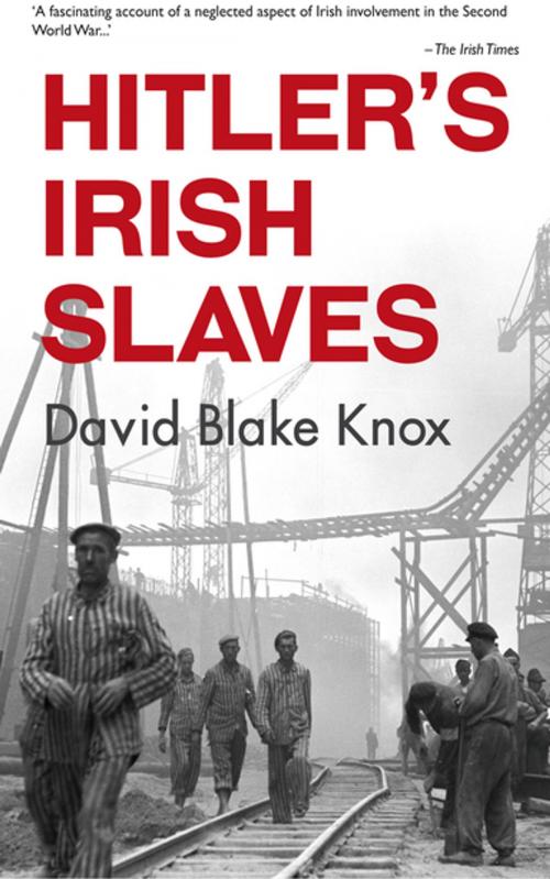 Cover of the book Hitler's Irish Slaves by David Blake Knox, New Island Books
