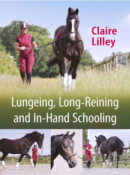 Cover of the book Lungeing, Long-Reining and In-Hand Schooling by Claire Lilley, Crowood