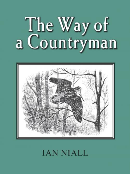 Cover of the book The Way of a Countryman by Ian Niall, Merlin Unwin Books Limited