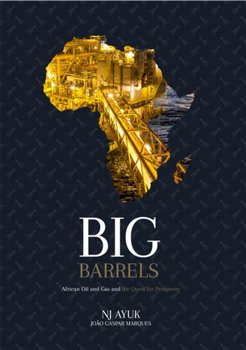 Cover of the book Big Barrels by NJ Ayuk, João Gaspar Marques, Clink Street Publishing