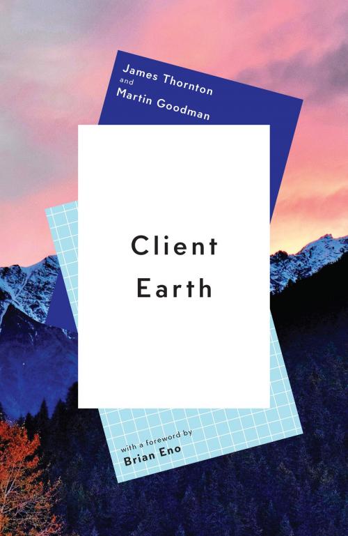 Cover of the book Client Earth by James Thornton, Martin Goodman, Scribe Publications Pty Ltd