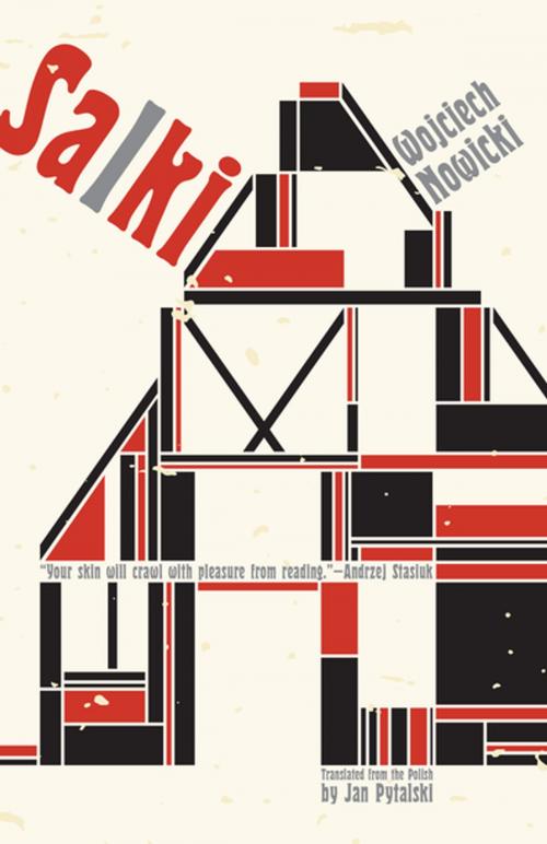 Cover of the book Salki by Wojciech Nowicki, Open Letter