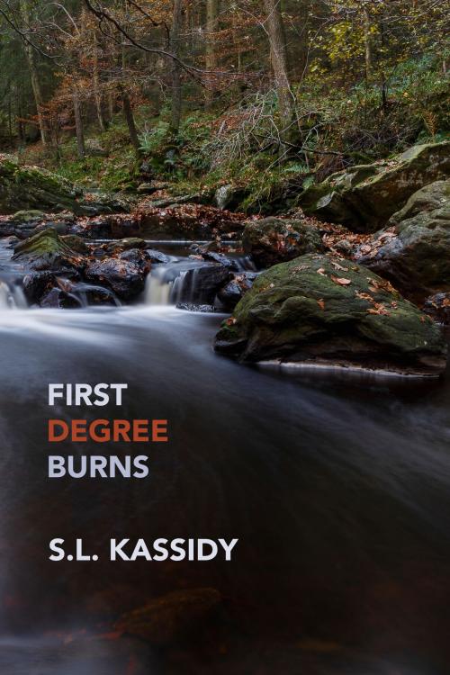 Cover of the book First Degree Burns by S.L. Kassidy, Desert Palm Press
