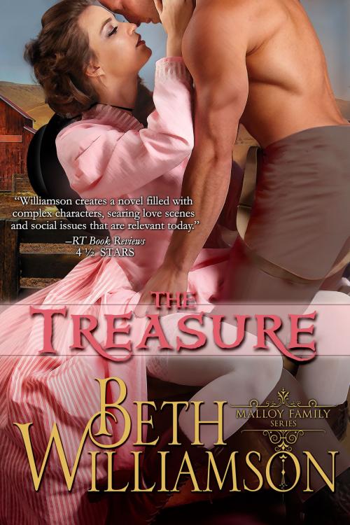 Cover of the book The Treasure by Beth Williamson, Beth Williamson
