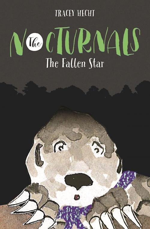 Cover of the book The Fallen Star by Tracey Hecht, Fabled Films Press - Fabled Films Press