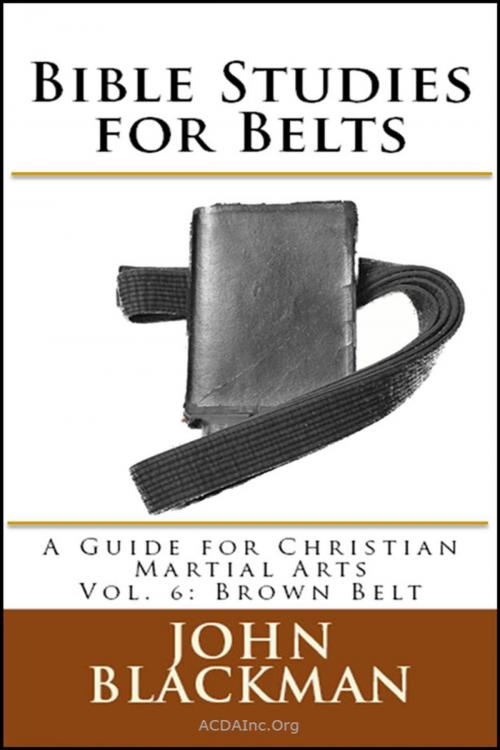 Cover of the book Bible Studies for Belts: A Guide for Christian Martial Arts Vol. 6: Brown Belt by John Blackman, American Christian Defense Alliance, Inc.