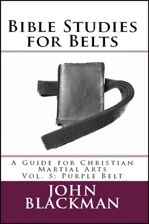 Cover of the book Bible Studies for Belts: A Guide for Christian Martial Arts Vol. 5: Purple Belt by John Blackman, American Christian Defense Alliance, Inc.