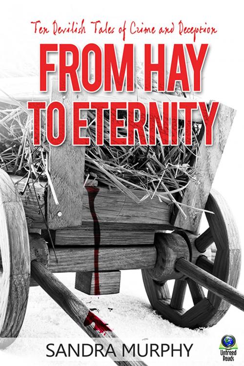 Cover of the book From Hay to Eternity by Sandra Murphy, Untreed Reads