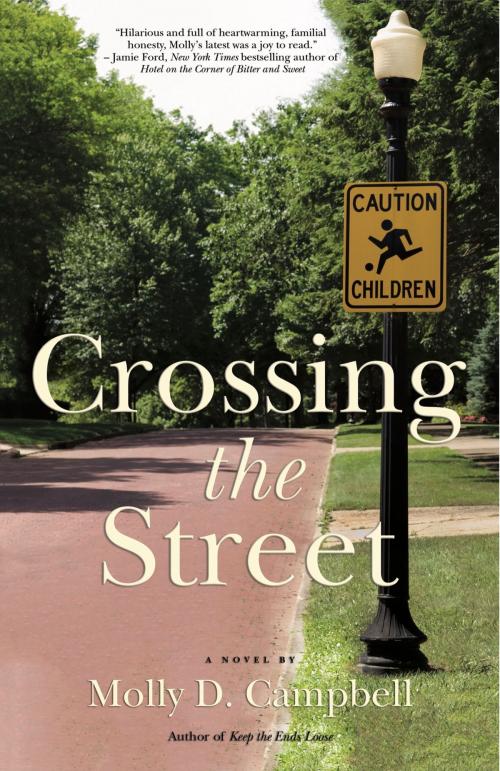 Cover of the book Crossing the Street by Molly D. Campbell, Fiction Studio Books