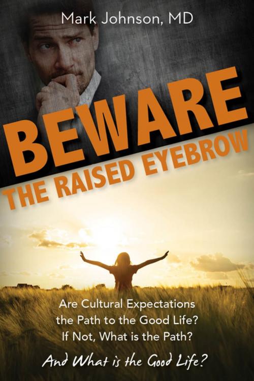 Cover of the book Beware the Raised Eyebrow by Mark Johnson, Clovercroft Publishing