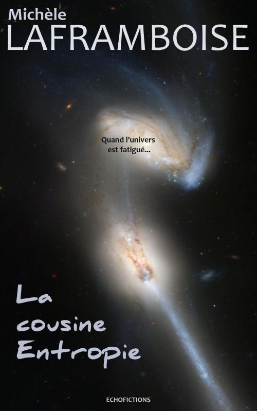 Cover of the book La cousine Entropie by Michele Laframboise, Echofictions