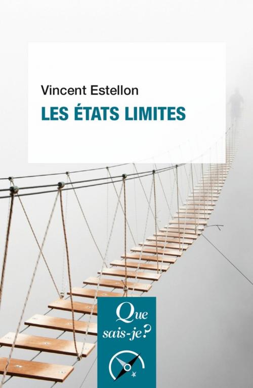 Cover of the book Les états limites by Vincent Estellon, Presses Universitaires de France