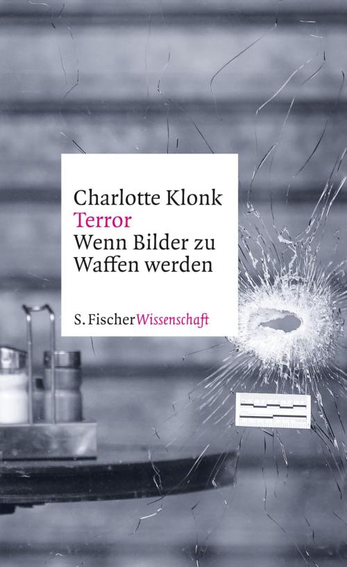 Cover of the book Terror by Prof. Dr. Charlotte Klonk, FISCHER E-Books