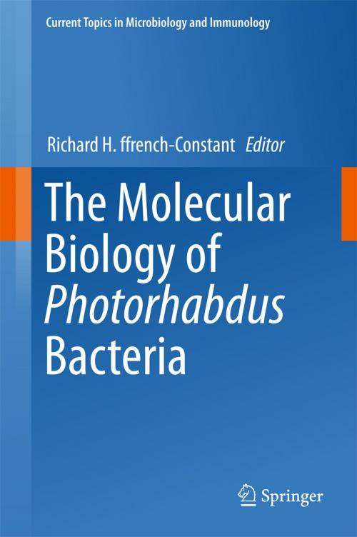 Cover of the book The Molecular Biology of Photorhabdus Bacteria by , Springer International Publishing