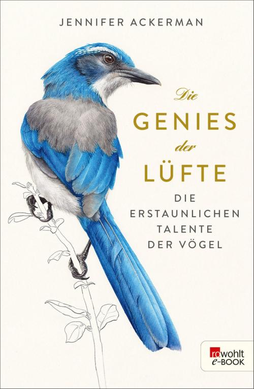 Cover of the book Die Genies der Lüfte by Jennifer Ackerman, Hubert Mania, Rowohlt E-Book