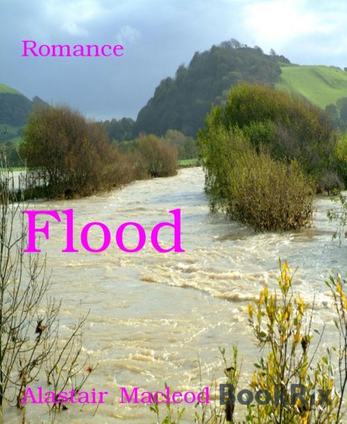 Cover of the book Flood by Alastair Macleod, BookRix