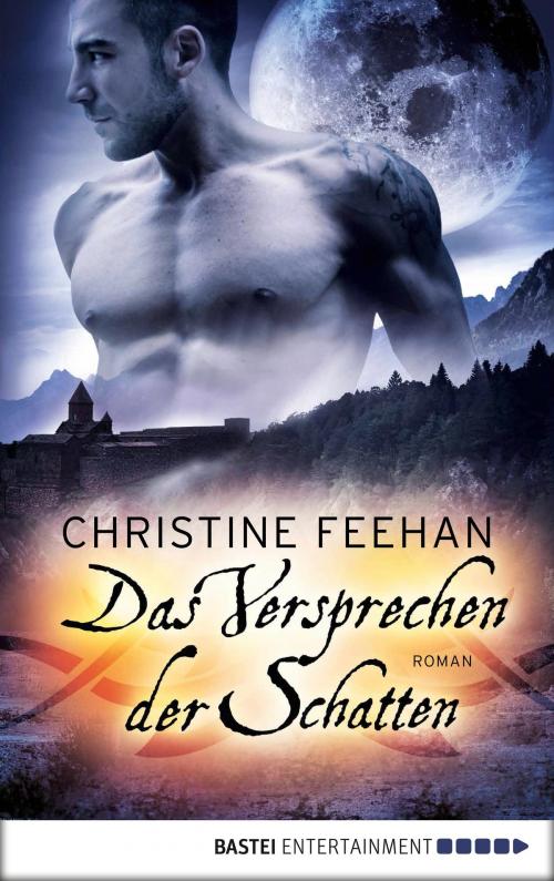 Cover of the book Das Versprechen der Schatten by Christine Feehan, Bastei Entertainment