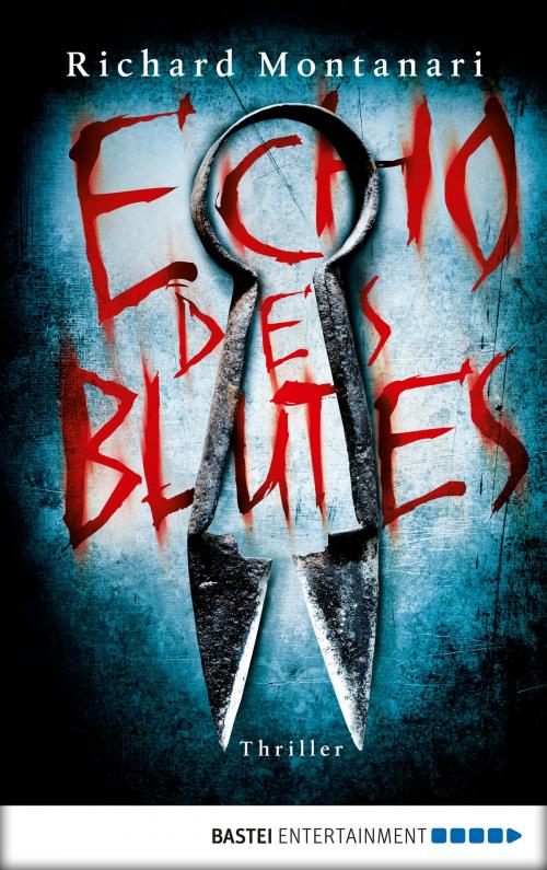 Cover of the book Echo des Blutes by Richard Montanari, Bastei Entertainment