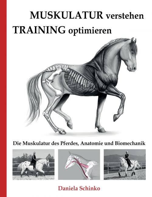 Cover of the book Muskulatur verstehen - Training optimieren by Daniela Schinko, Books on Demand