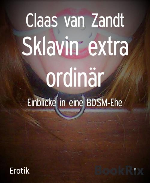 Cover of the book Sklavin extra ordinär by Claas van Zandt, BookRix