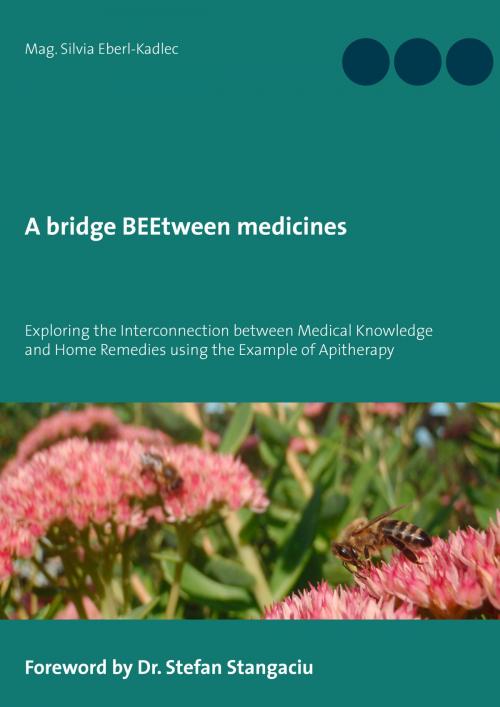 Cover of the book A bridge BEEtween medicines by Silvia Eberl-Kadlec, Books on Demand
