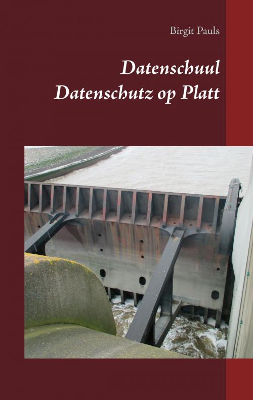 Cover of the book Datenschuul by Birgit Pauls, Books on Demand