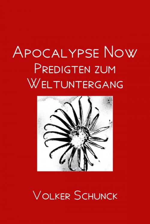 Cover of the book Apocalypse Now by Volker Schunck, epubli
