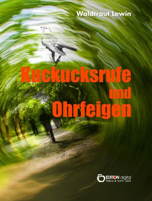 Cover of the book Kuckucksrufe und Ohrfeigen by Waldtraut Lewin, EDITION digital