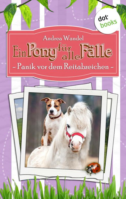 Cover of the book Ein Pony für alle Fälle - Neunter Roman: Panik vor dem Reitabzeichen by Andrea Wandel, dotbooks GmbH