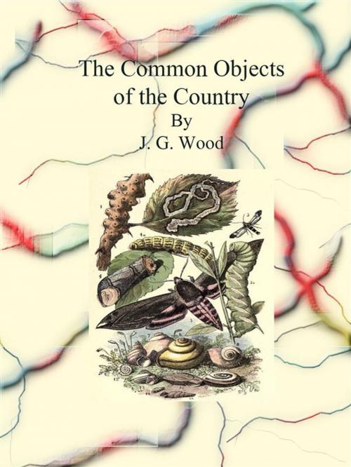 Cover of the book The Common Objects of the Country by J. G. Wood, J. G. Wood
