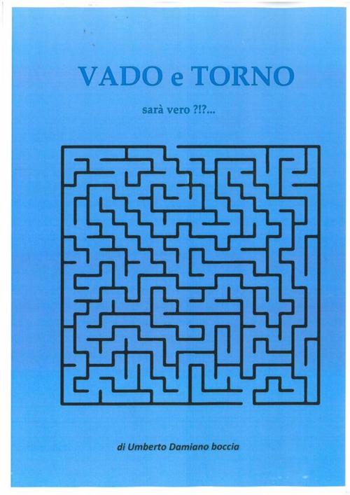 Cover of the book VADO e TORNO sarà vero?!?... by Umberto Damiano Boccia, Umberto Damiano Boccia