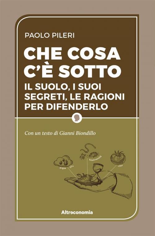 Cover of the book Che cosa c’è sotto by Paolo Pileri, Altreconomia