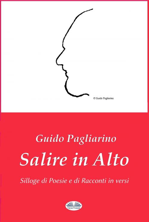 Cover of the book Salire In Alto by Guido Pagliarino, Tektime