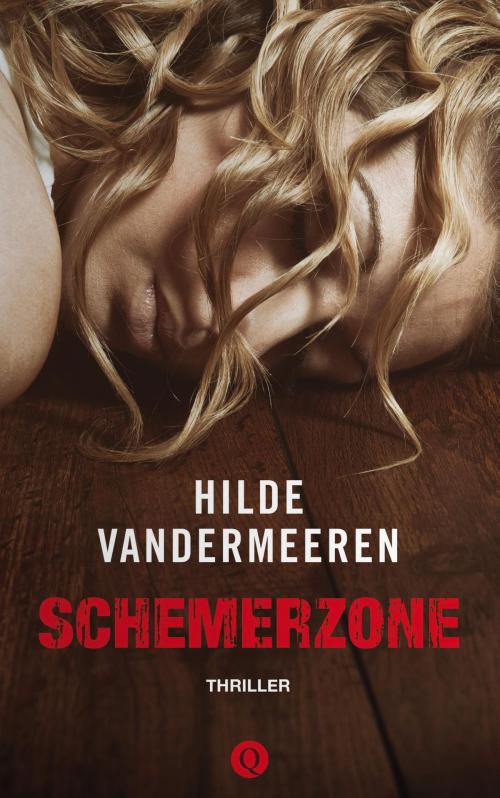 Cover of the book Schemerzone by Hilde Vandermeeren, Singel Uitgeverijen