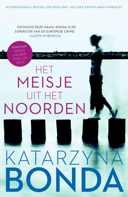 Cover of the book Het meisje uit het noorden by Katarzyna Bonda, Luitingh-Sijthoff B.V., Uitgeverij
