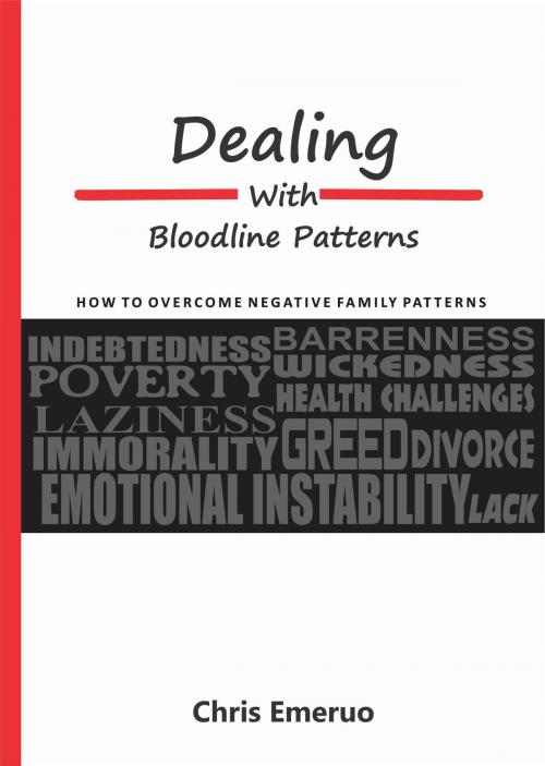 Cover of the book Dealing With Bloodline Patterns by Chris Emeruo, Chris Emeruo